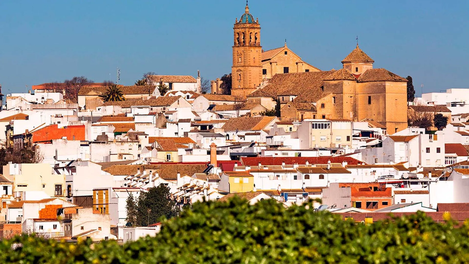 6722ecfc0ac2-montilla-d3hgby-t